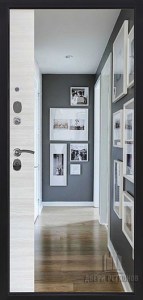 Стальная дверь Спартак зеркало Панорама